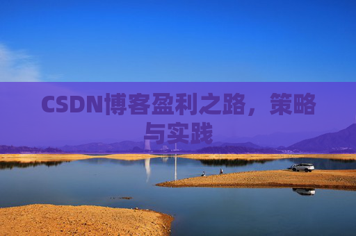 CSDN博客盈利之路,策略与实践